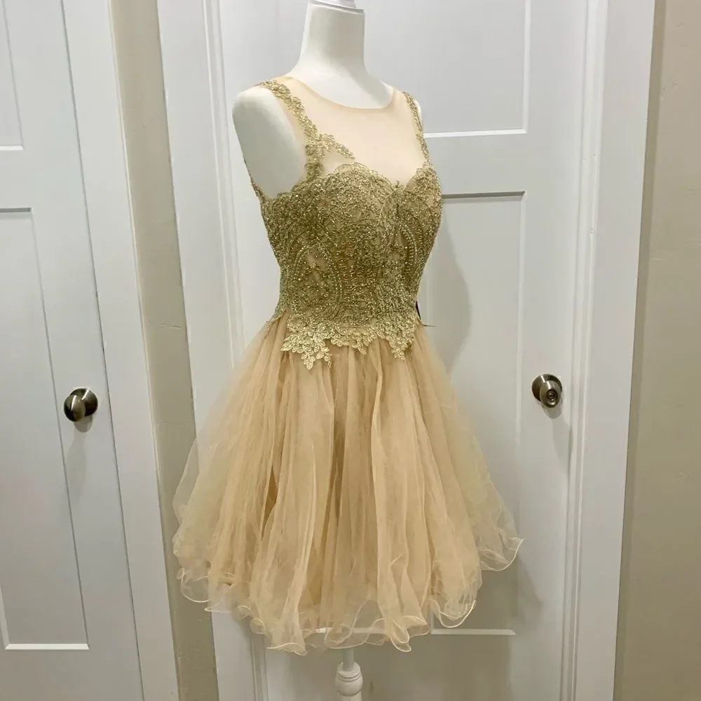 Mesh embroidered beaded Lace Short Ruffled  Dress